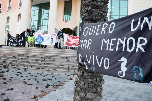 Fotos: La visita de la ministra Ribera al Mar Menor, en imágenes