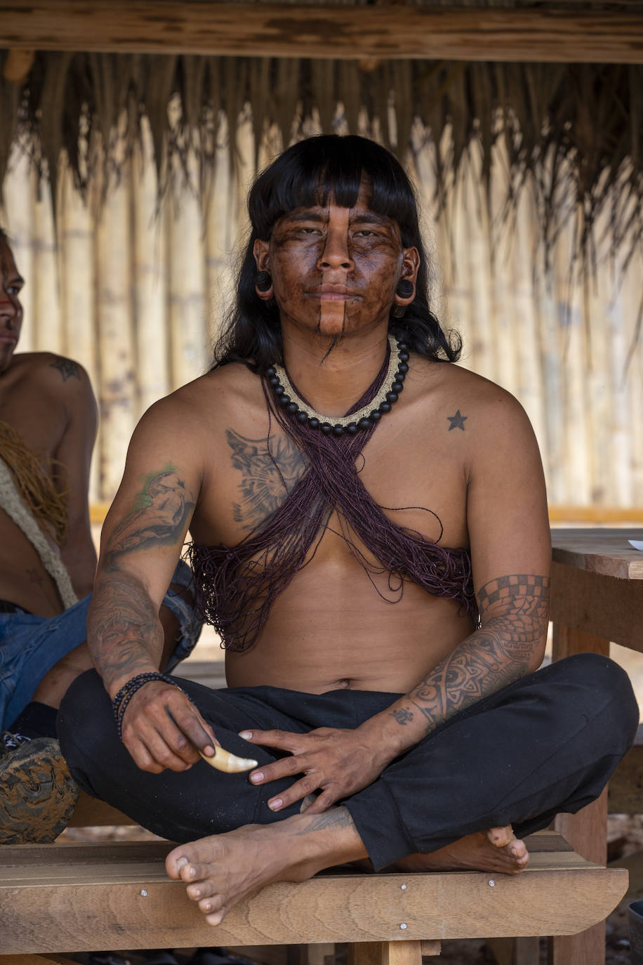 Fotos: Naturaleza viva, consciente y con derechos