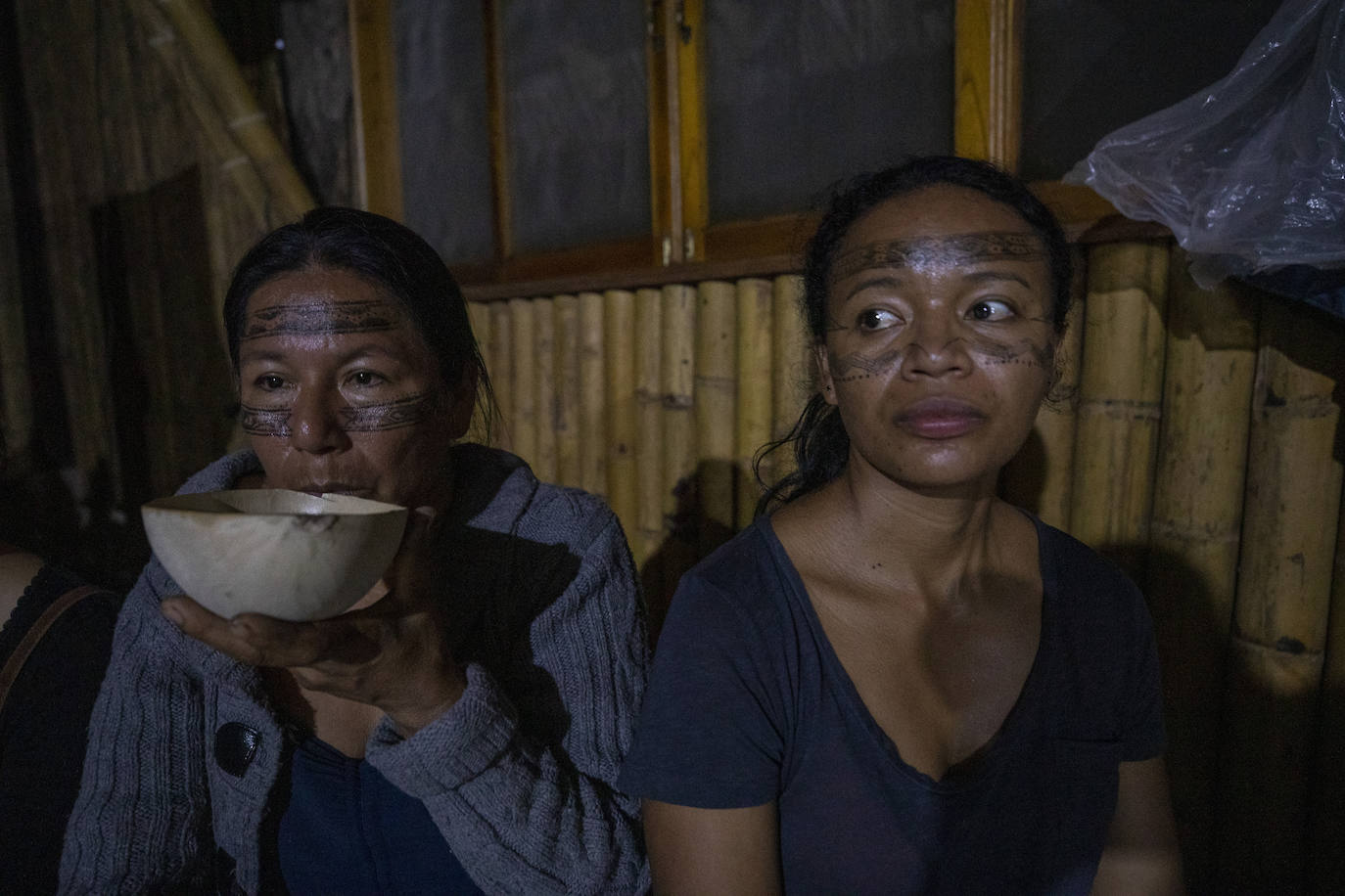 Fotos: Naturaleza viva, consciente y con derechos