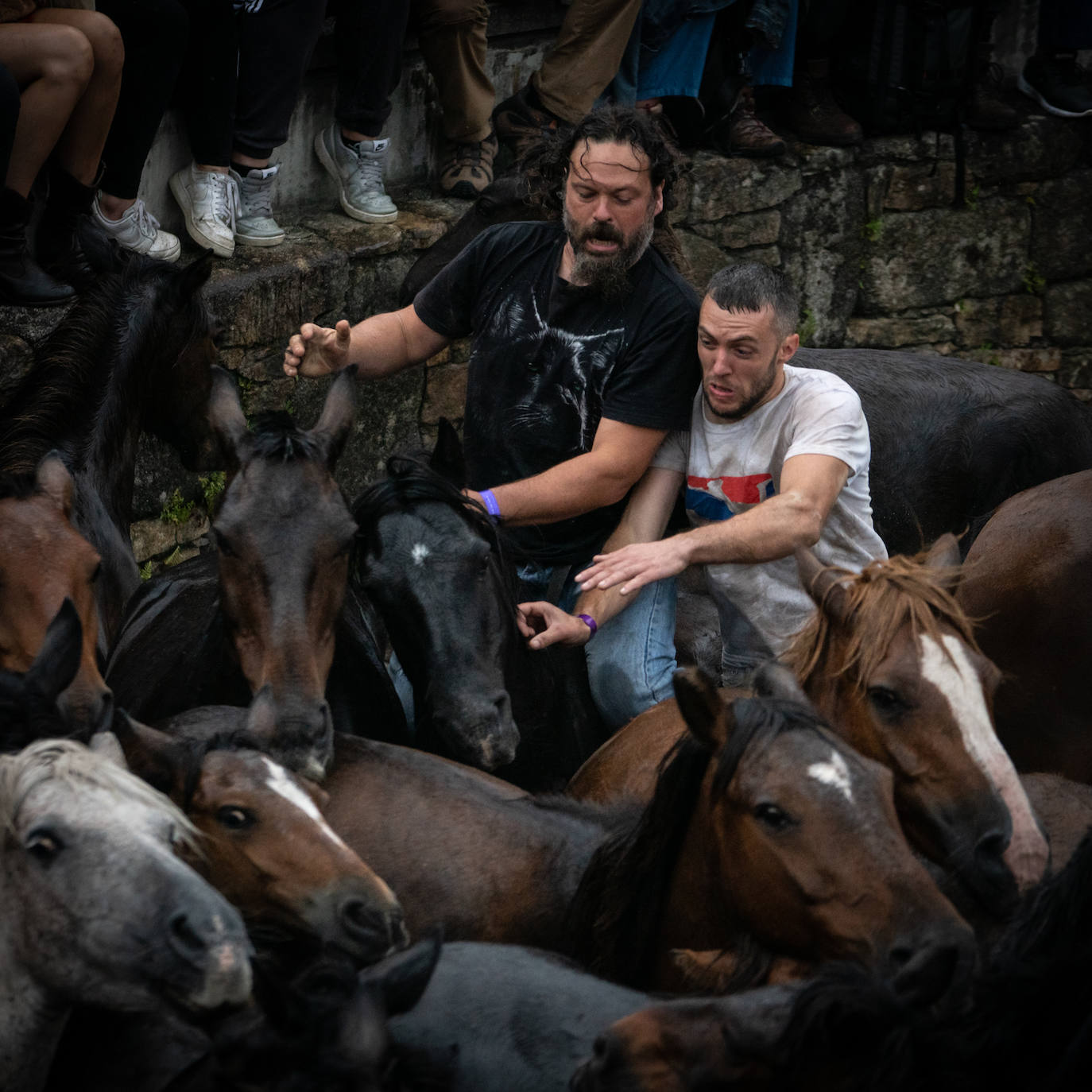 Fotos: Genuino sabor gallego