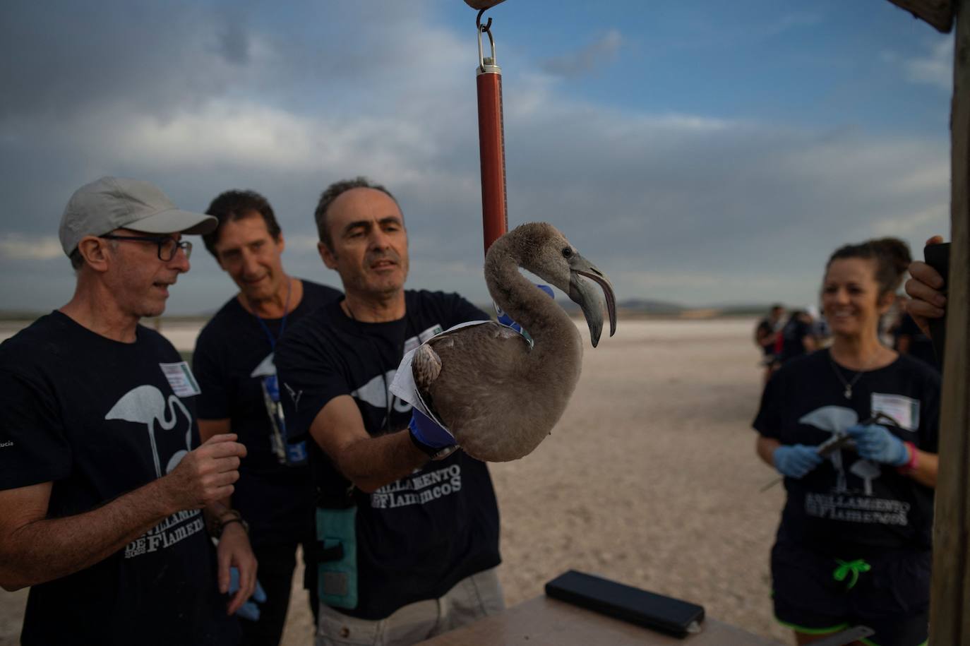 Fotos: Aumenta la familia flamenca andaluza