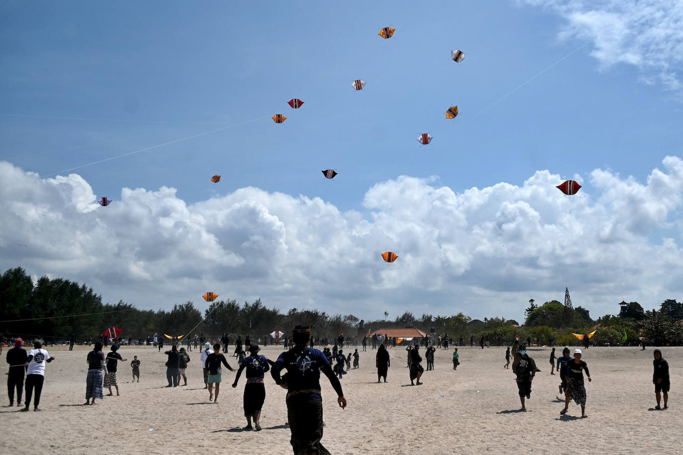 Fotos: Viento, mar y cometas