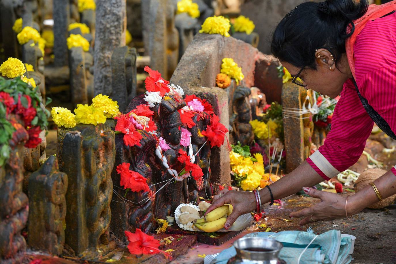 Fotos: Ofrendas y adoración a las serpientes en Bangalore