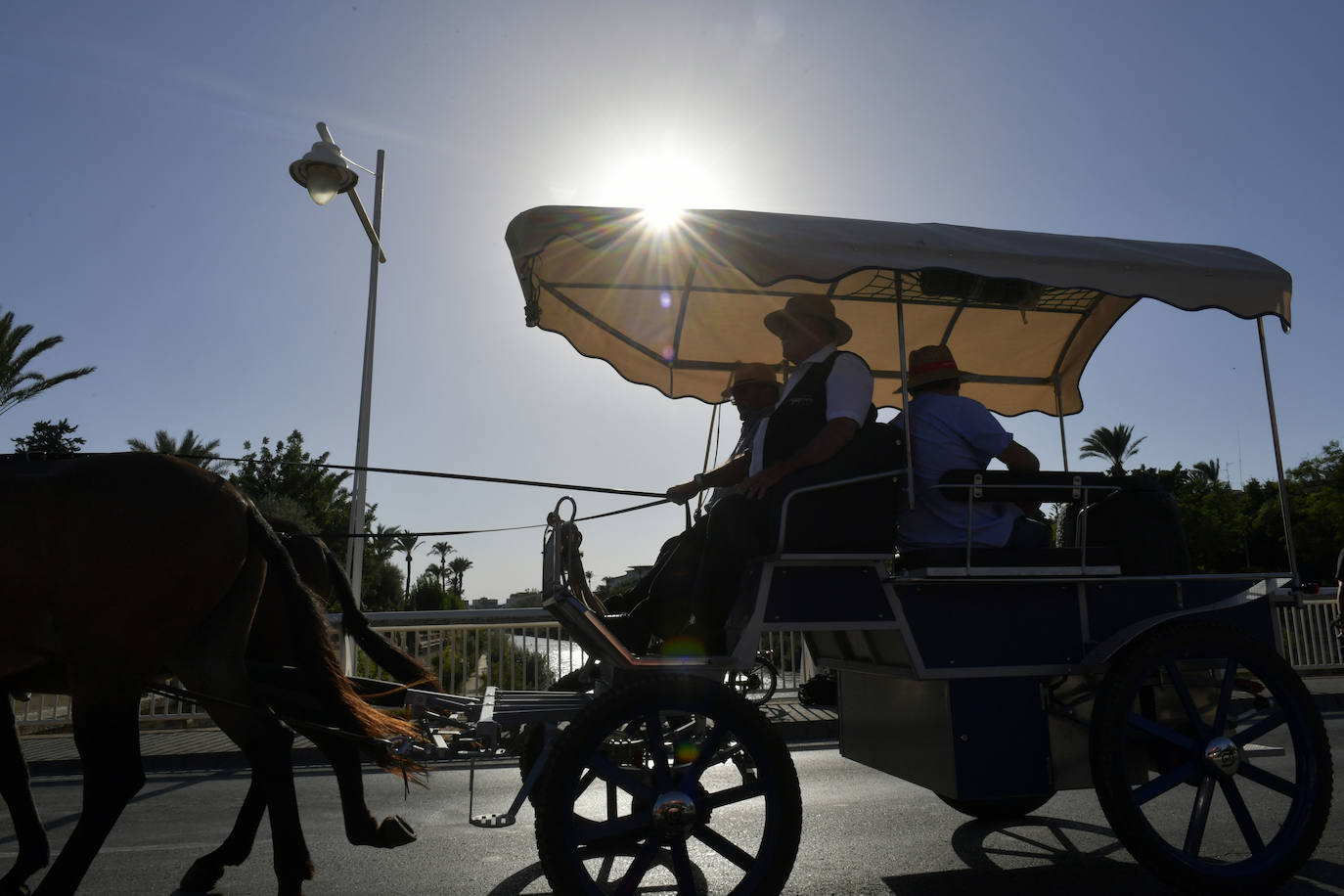 Fotos: La Ruta de la Huerta al Mar vuelve a recorrer la Región de Murcia