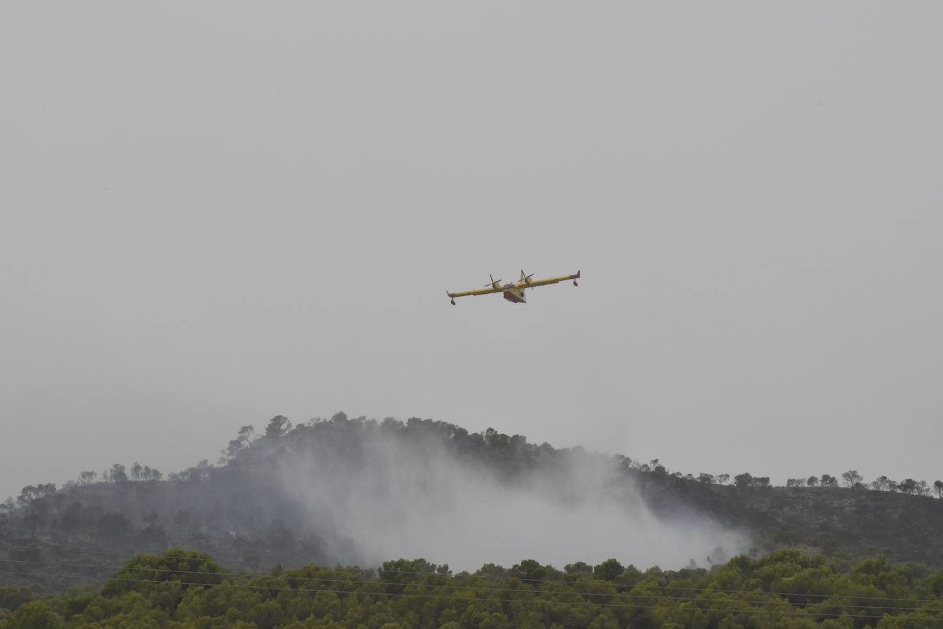 Fotos: Incendio en el paraje de la Patoja