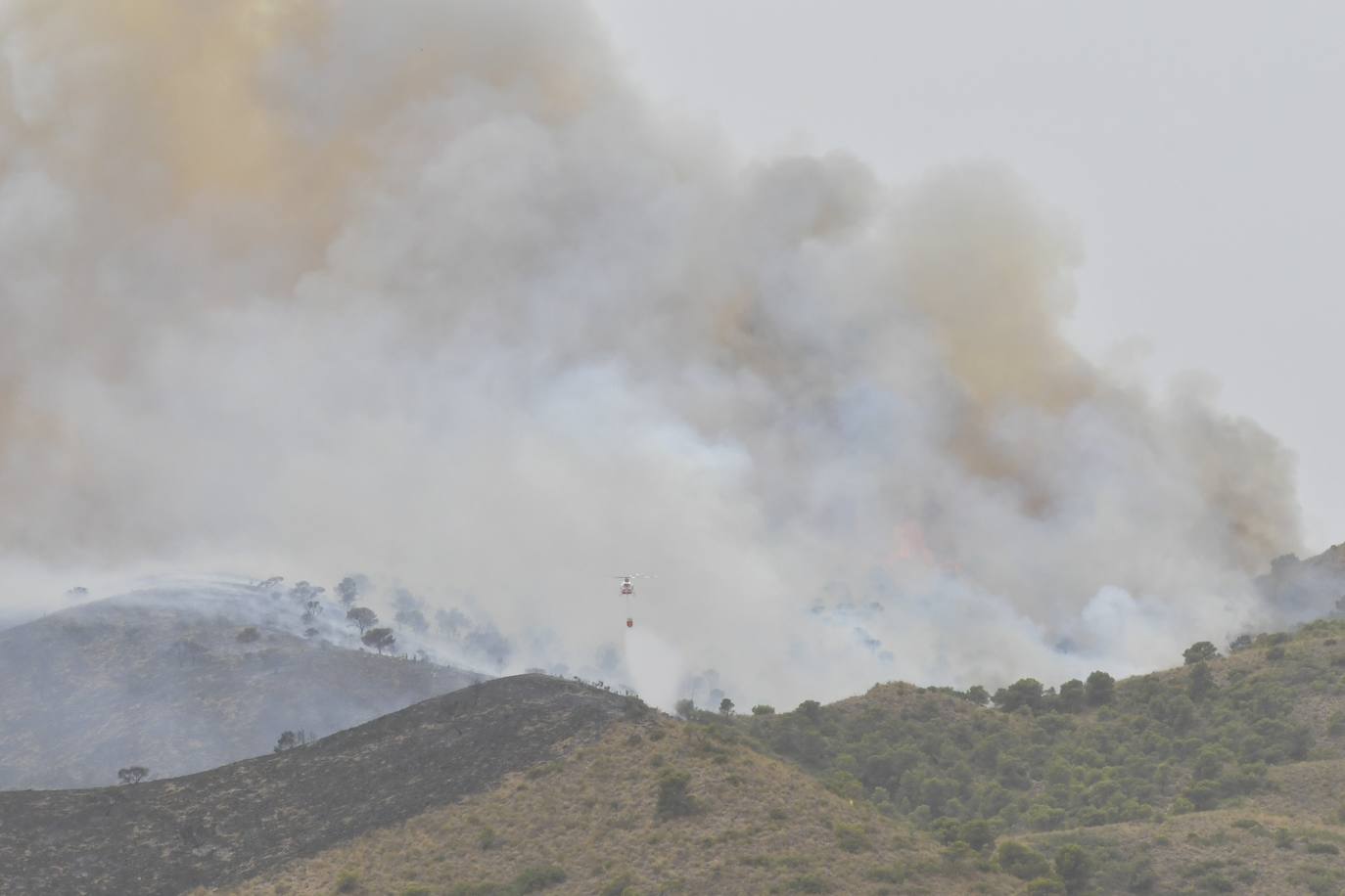 Fotos: Incendio en el paraje de la Patoja