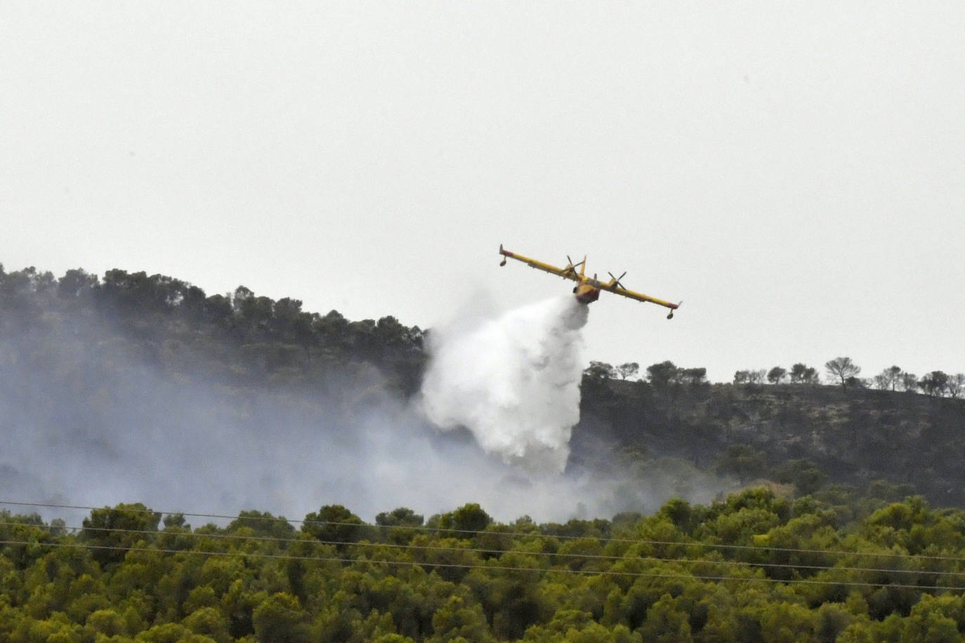 Fotos: Incendio en el paraje de la Patoja