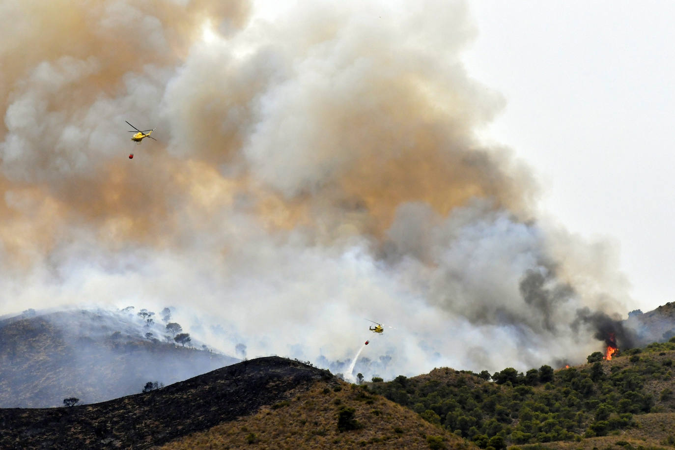 Fotos: Incendio en el paraje de la Patoja