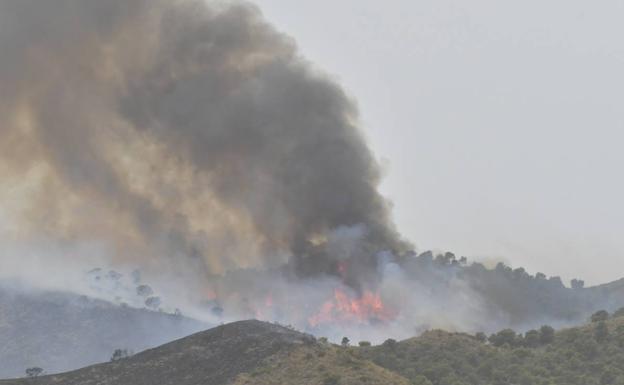 Galería. Incendio de La Patoja.