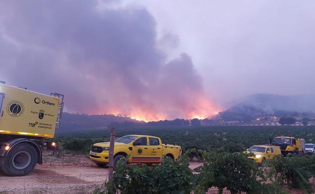 Imagen principal - Incendio La Patoja de Jumilla: El incendio de Jumilla alcanza las 400 hectáreas calcinadas