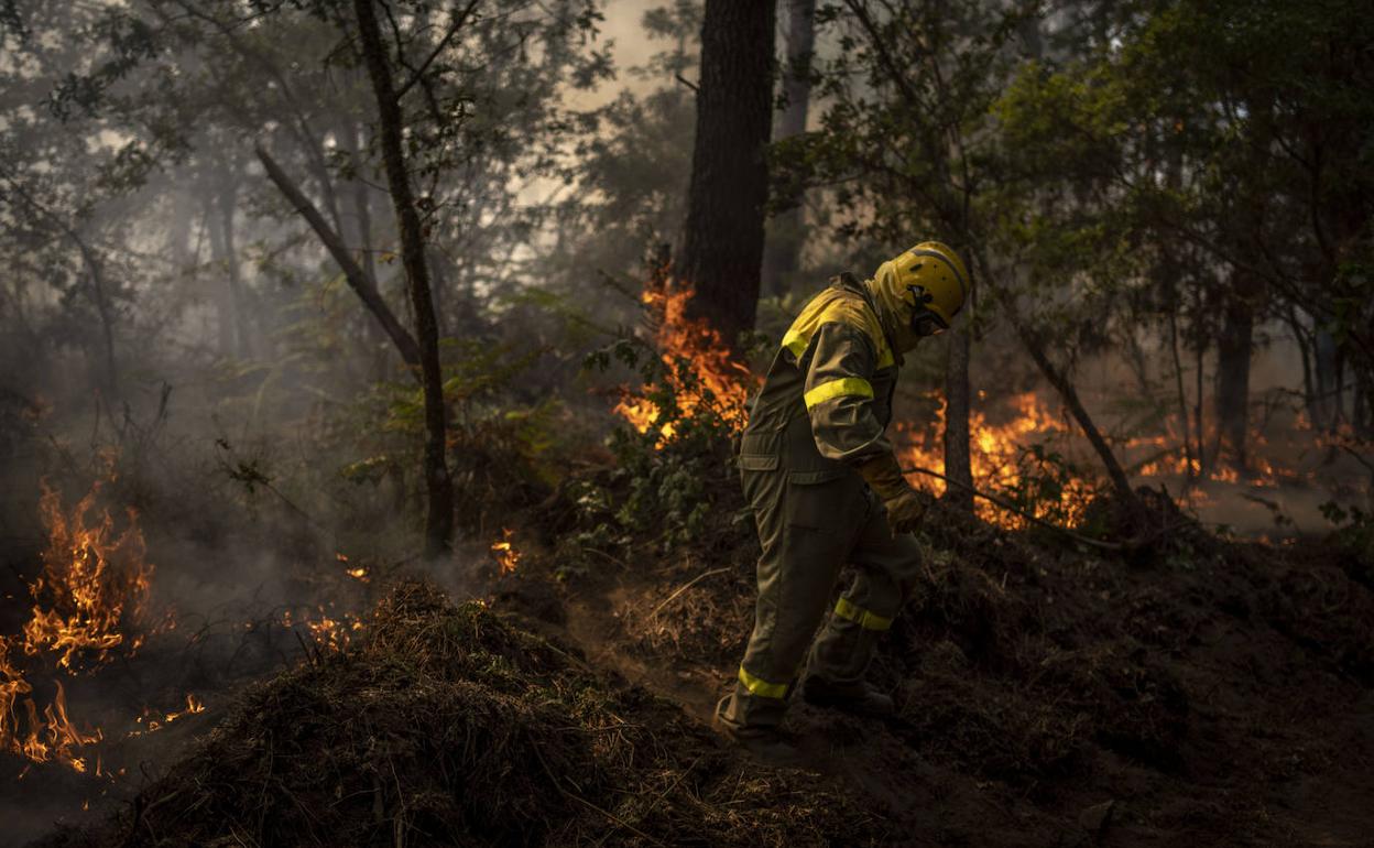 Imagen del incendio de O Irixo, en Orense, de este jueves. 