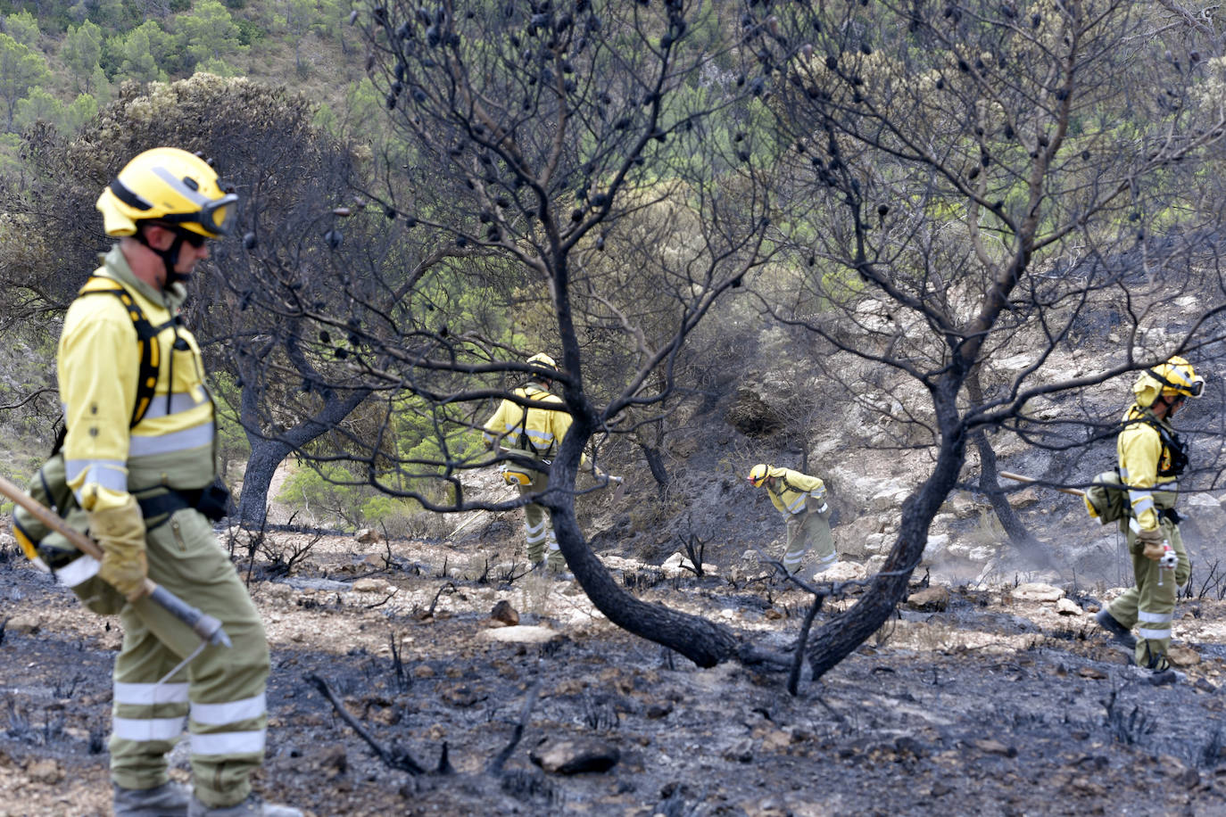 Fotos: Las huellas de la batalla contra el fuego en La Patoja