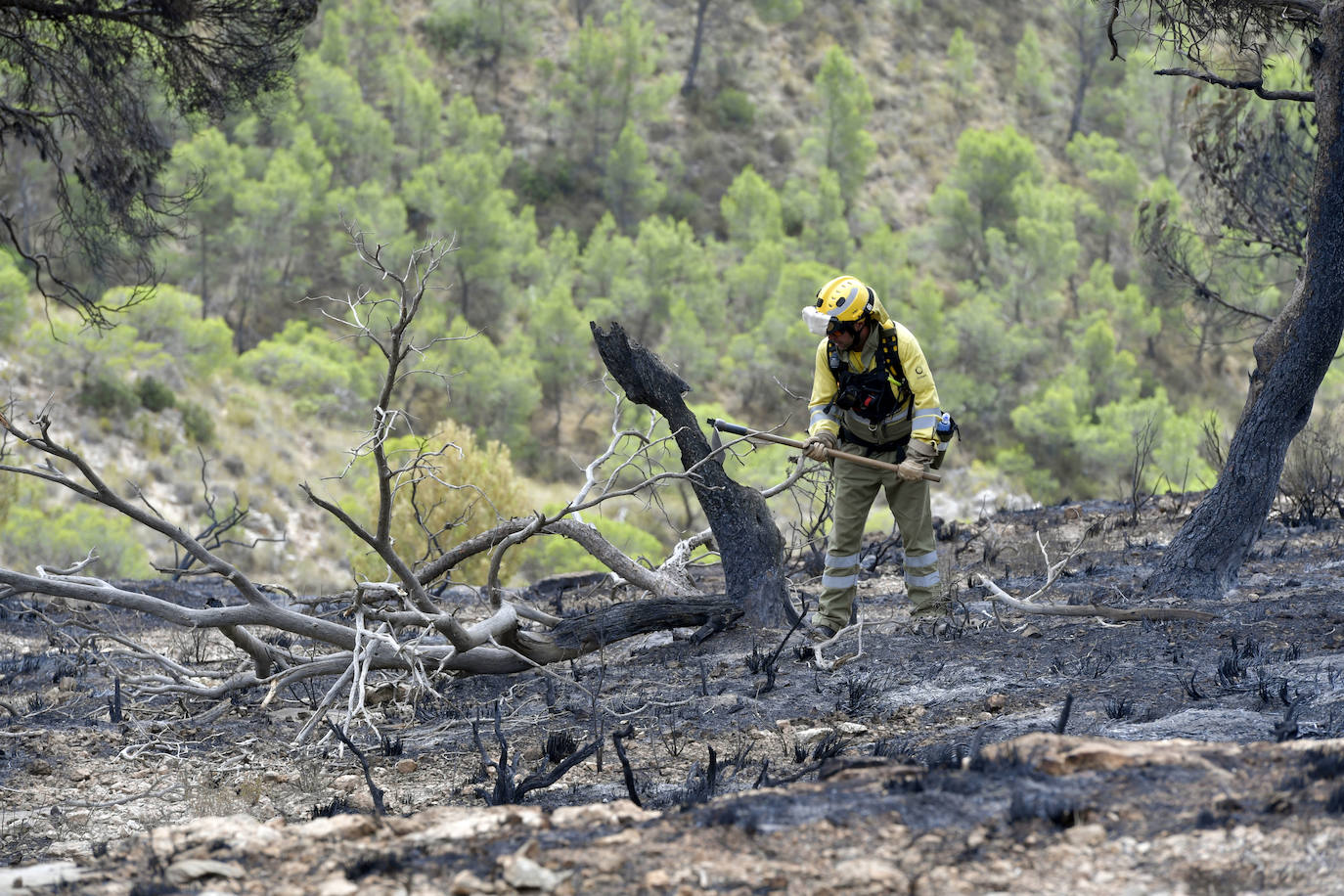 Uno de los bomberos que ha luchado contra el fuego producido en La Patoja, Jumilla. 