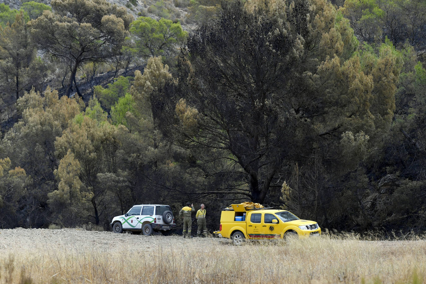 Fotos: Las huellas de la batalla contra el fuego en La Patoja