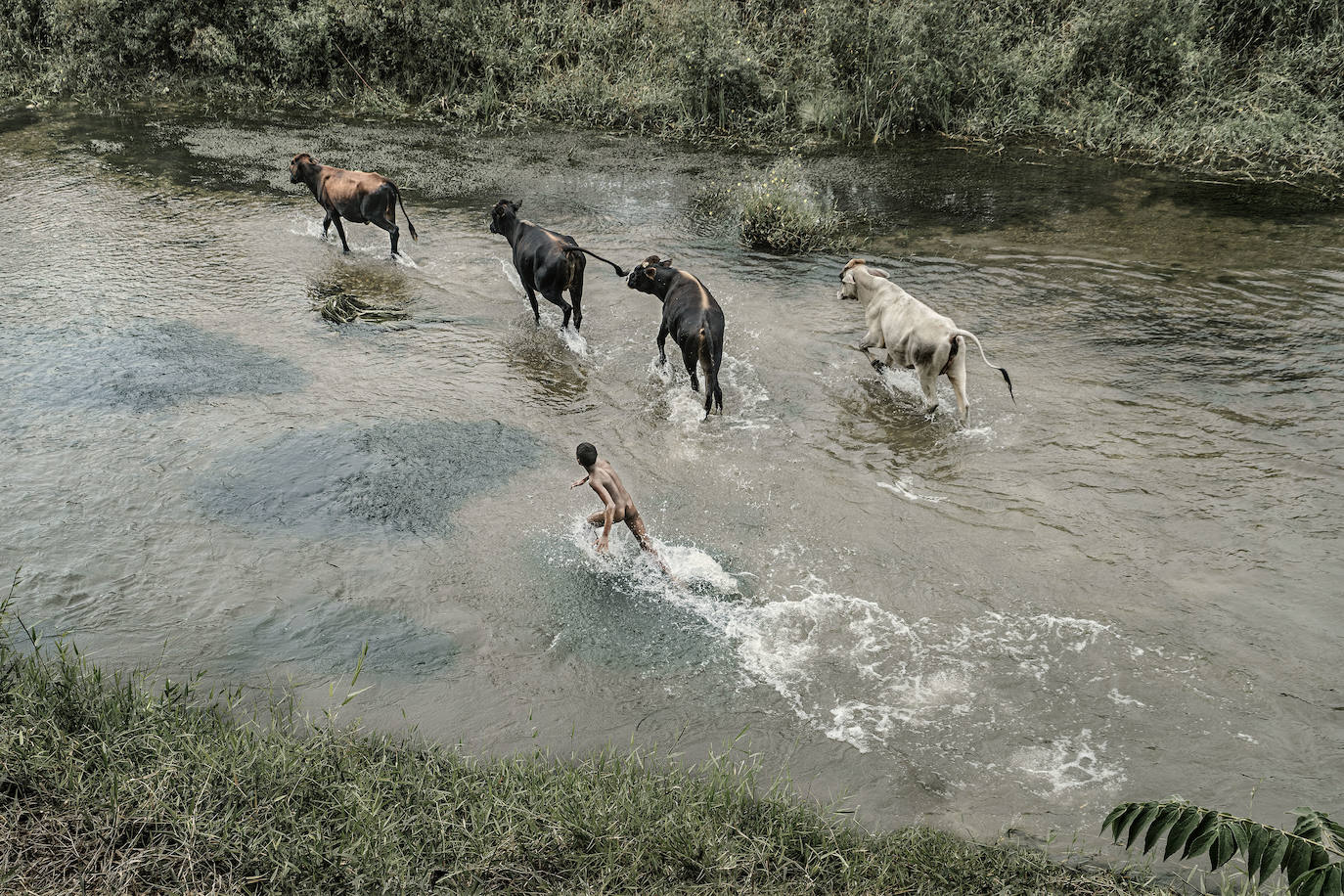 Fotos: Exposiciones &#039;Fluye&#039; y &#039;Son&#039;