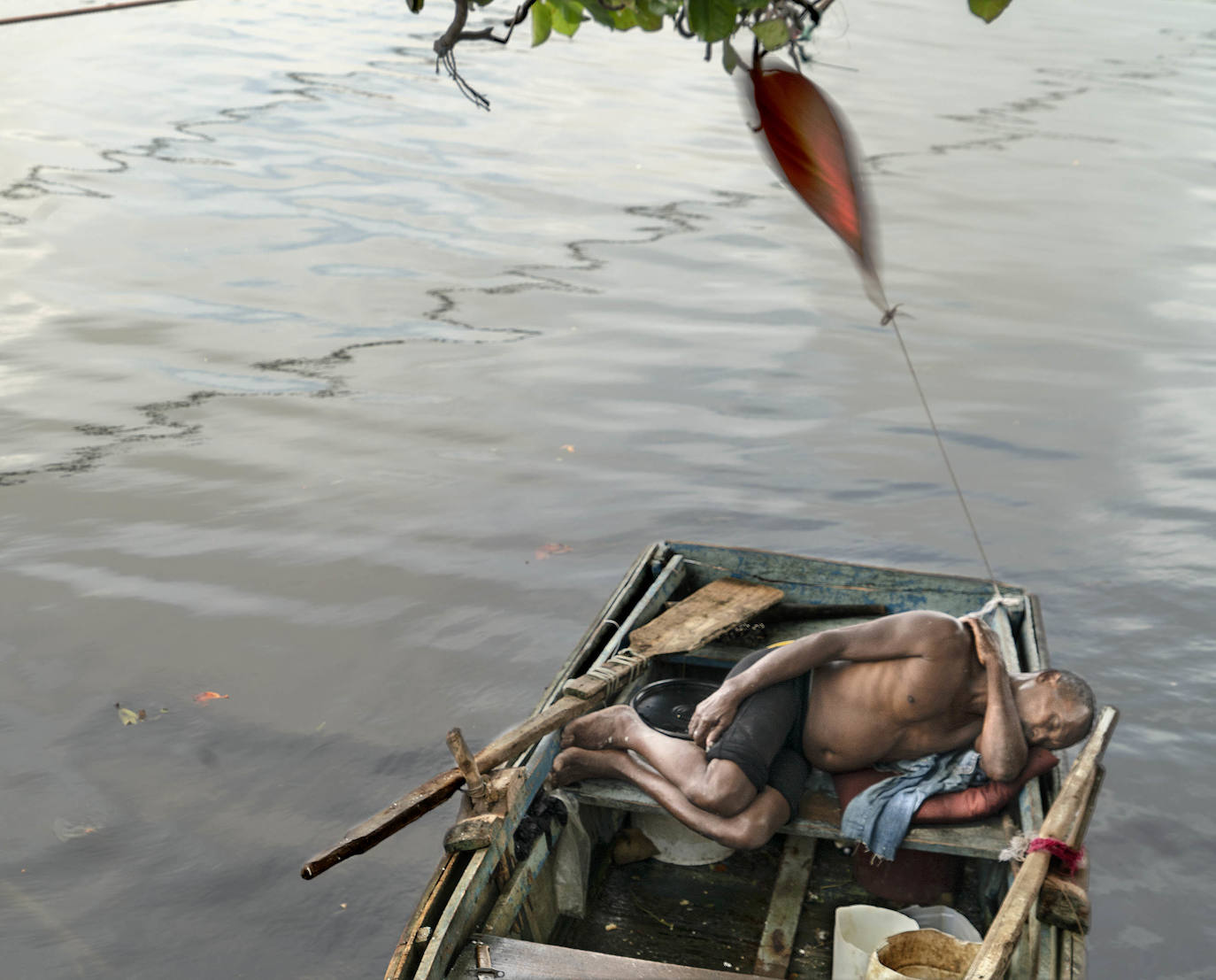 Fotos: Exposiciones &#039;Fluye&#039; y &#039;Son&#039;