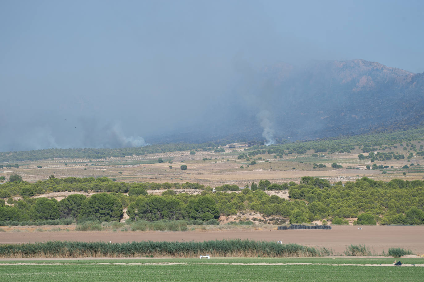 Fotos: El incendio de Jumilla ha calcinado ya 400 hectáreas