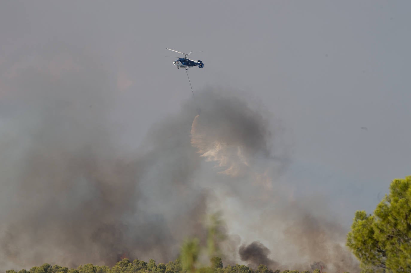 Fotos: El incendio de Jumilla ha calcinado ya 400 hectáreas