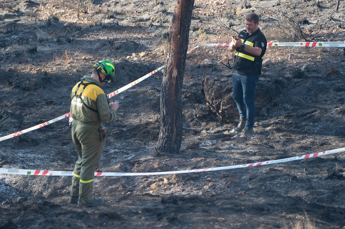 Fotos: El incendio de Jumilla ha calcinado ya 400 hectáreas