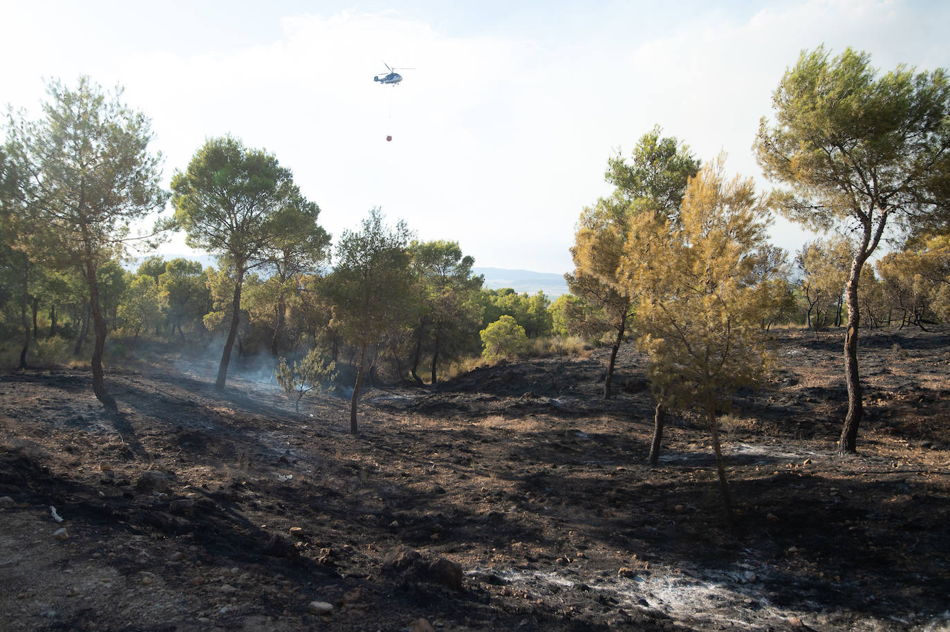 Fotos: El incendio de Jumilla ha calcinado ya 400 hectáreas