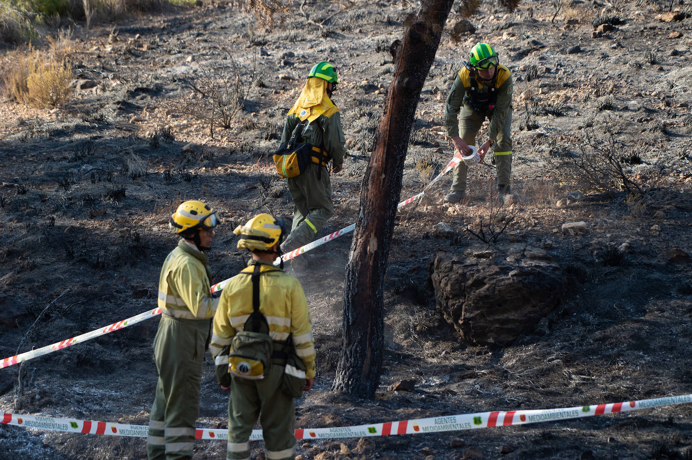 Fotos: El incendio de Jumilla ha calcinado ya 400 hectáreas