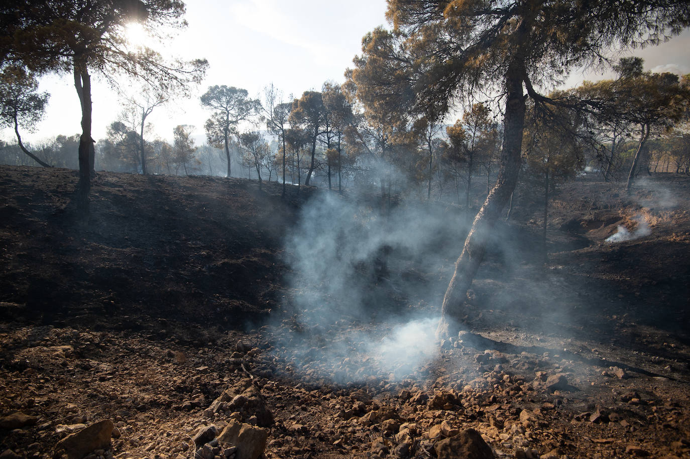 Fotos: El incendio de Jumilla ha calcinado ya 400 hectáreas