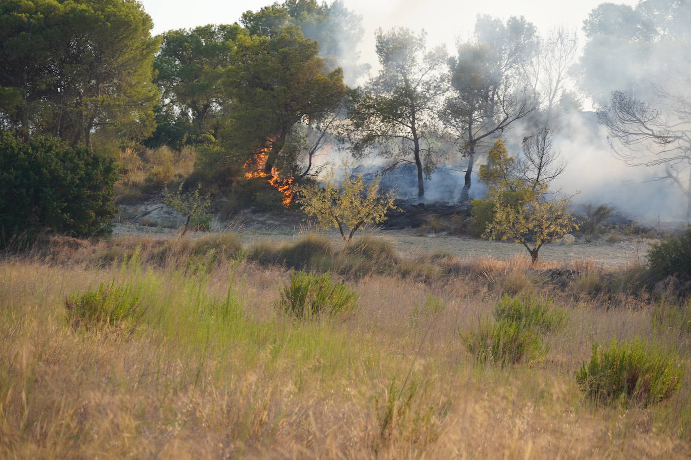Fotos: El incendio de Jumilla ha calcinado ya 400 hectáreas
