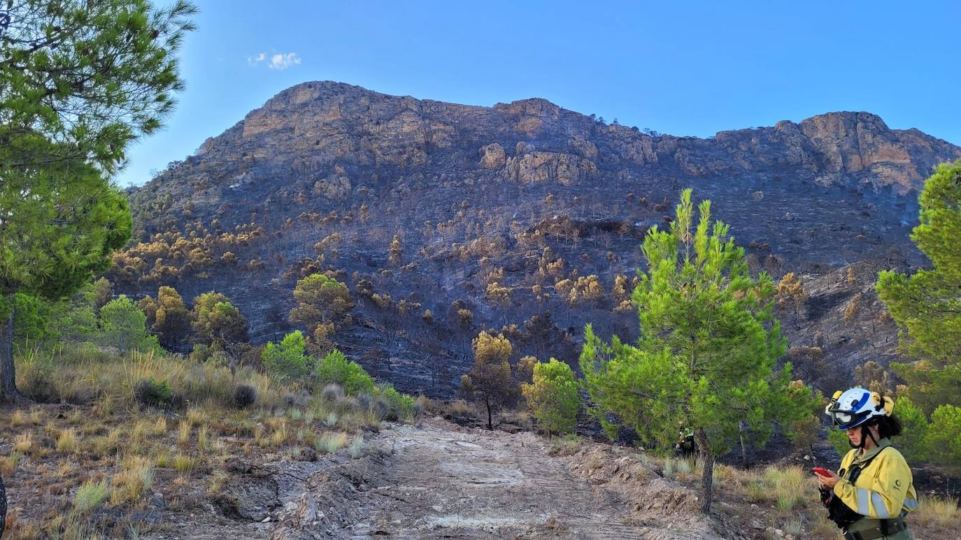Imagen del terreno calcinado por el incendio en la Sierra Larga de Jumilla, este domingo.