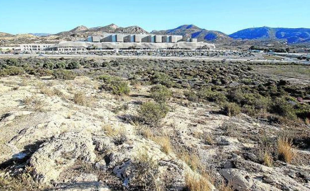 Terrenos municipales propuestos para albergar la nueva sede de los juzgados de Cartagena, frente al Hospital Santa Lucía, en una imagen de archivo. 