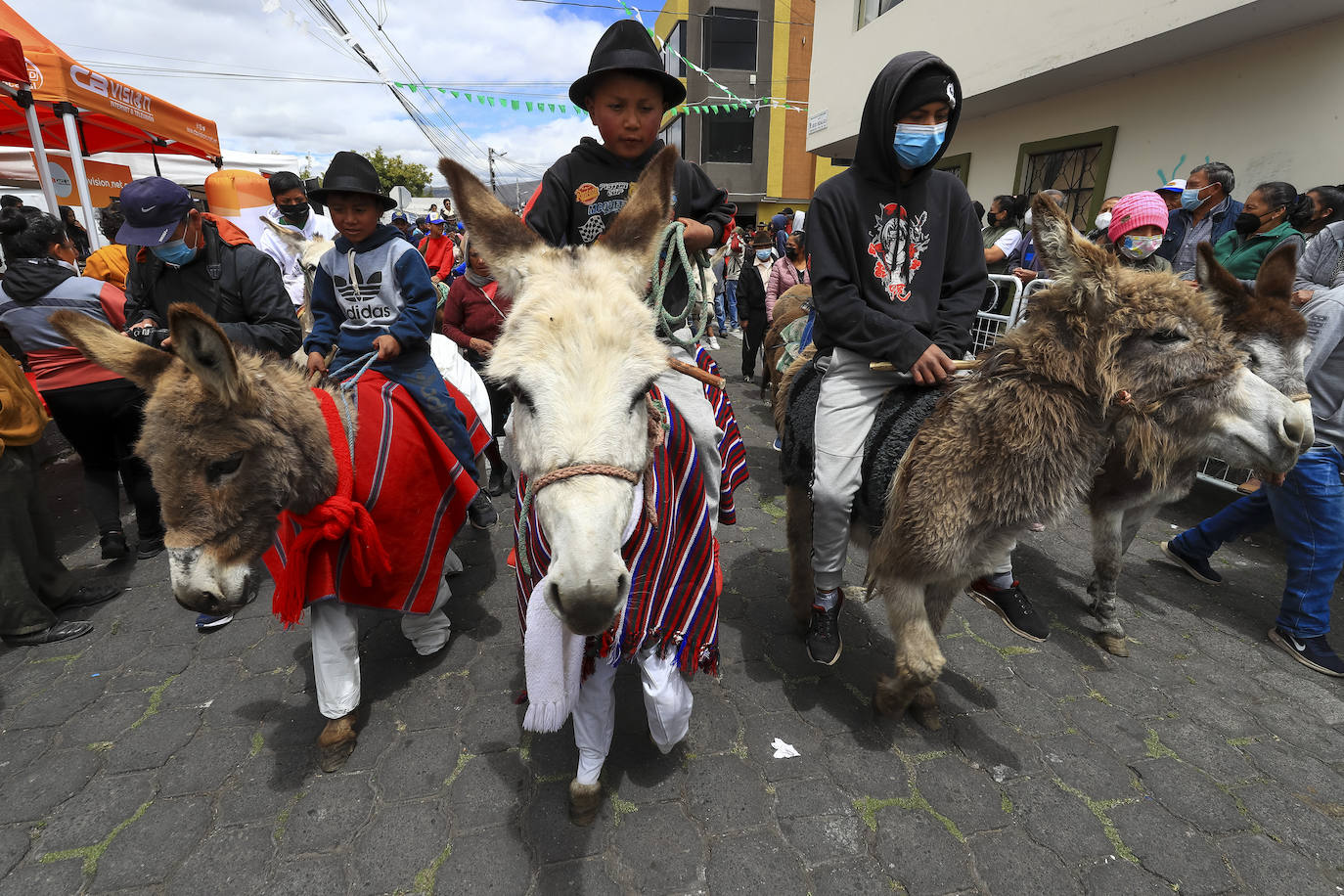 Fotos: Carrera de burros