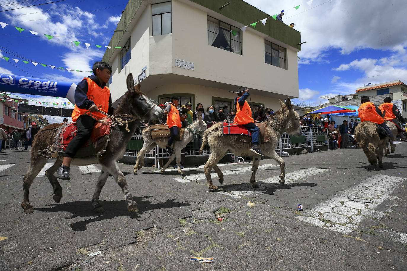 Fotos: Carrera de burros