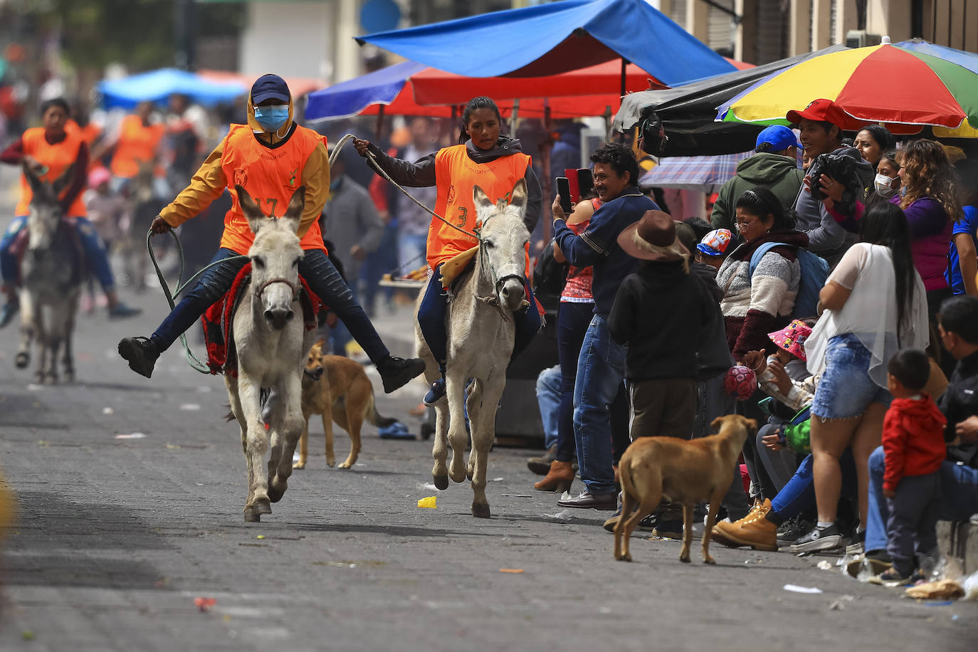 Fotos: Carrera de burros