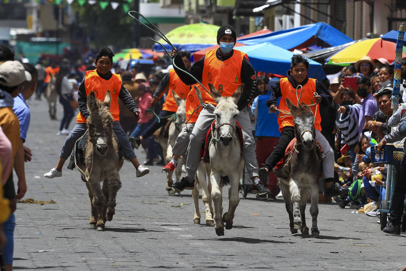 Fotos: Carrera de burros