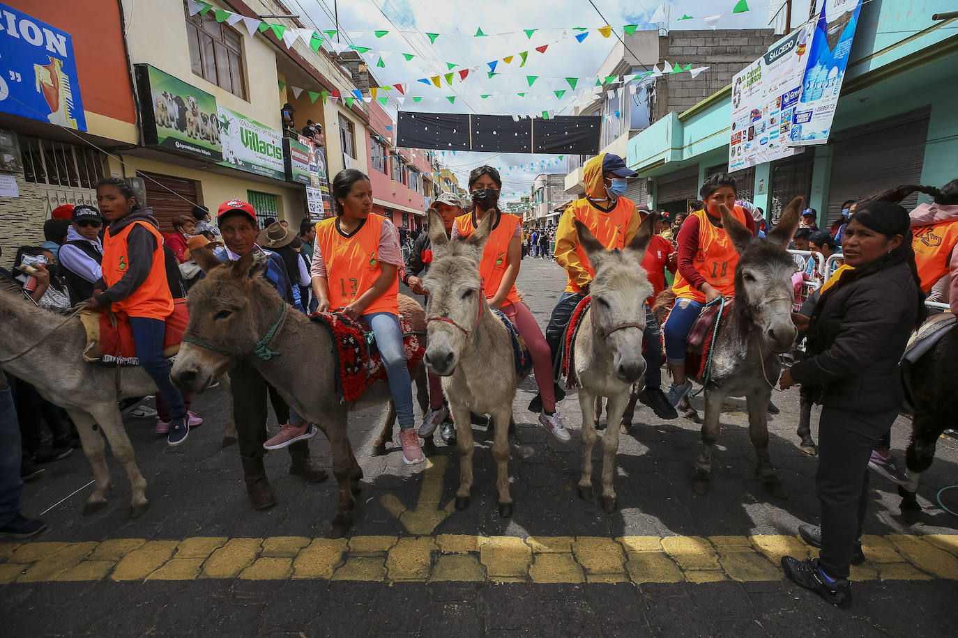 Fotos: Carrera de burros