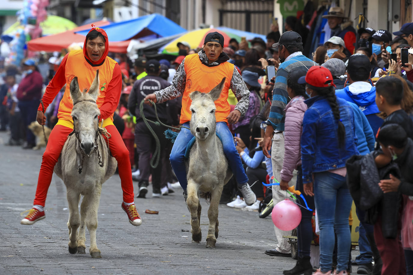 Fotos: Carrera de burros