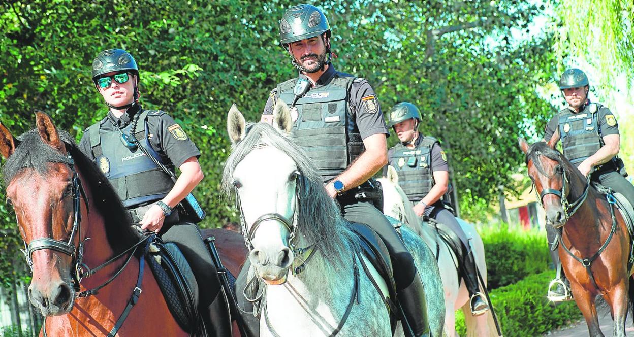 Cuatro de los seis agentes que componen la Unidad de Caballería patrullan por el entorno del jardín del Malecón. 