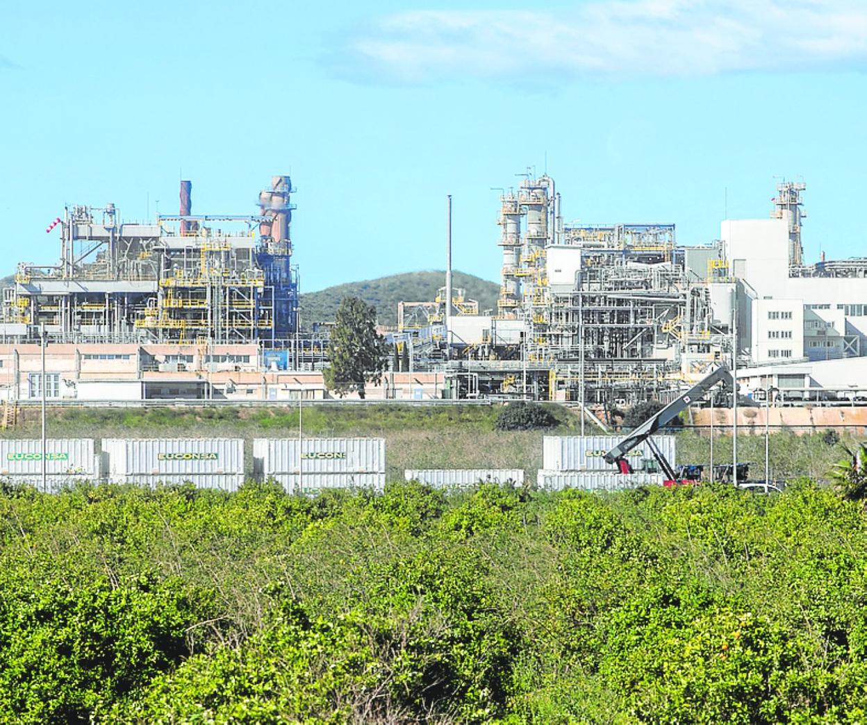 Bancal de limoneros junto a la factoría de Sabic en La Aljorra. 
