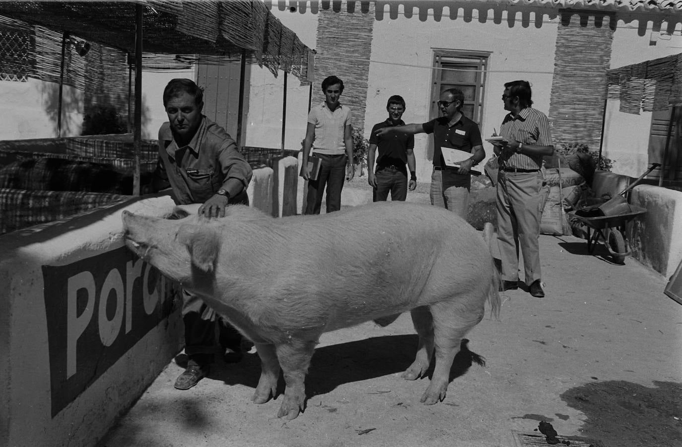 Fotos: Juan López, un legado eterno por fin digitalizado