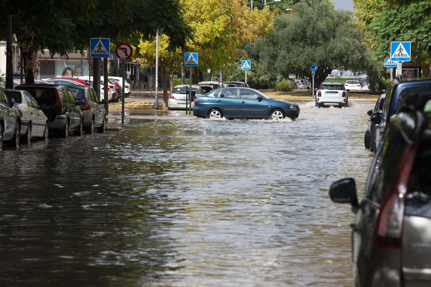 Las precipitaciones en Cartagena.