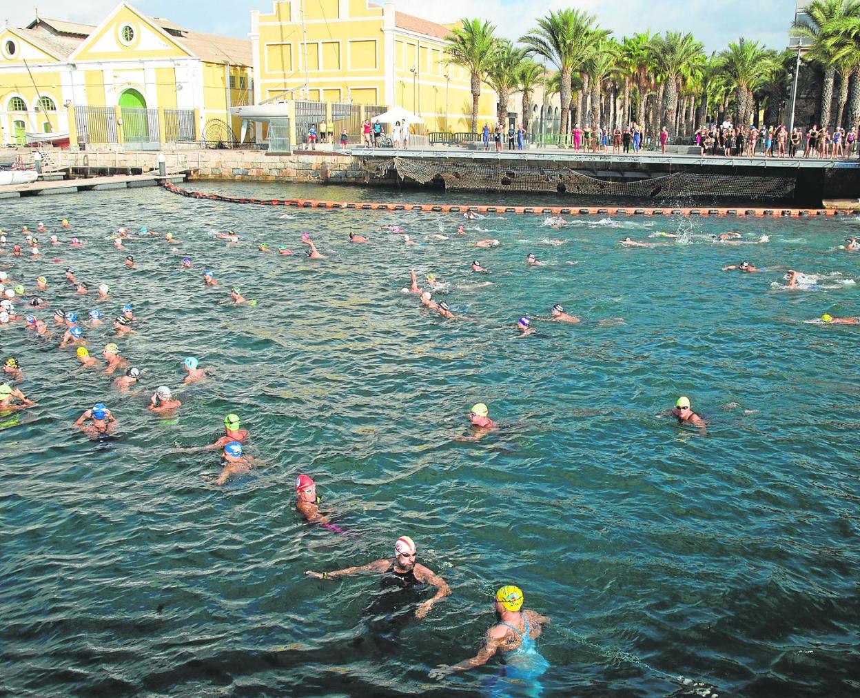 Fase final de la Copa de España de aguas abiertas, ayer, con los participantes en el agua del Puerto de Cartagena. 