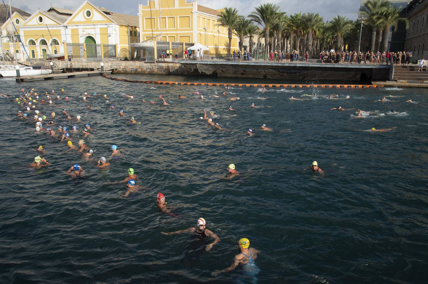 Fotos: Fase final de la Copa de España de aguas abiertas celebrado en Cartagena