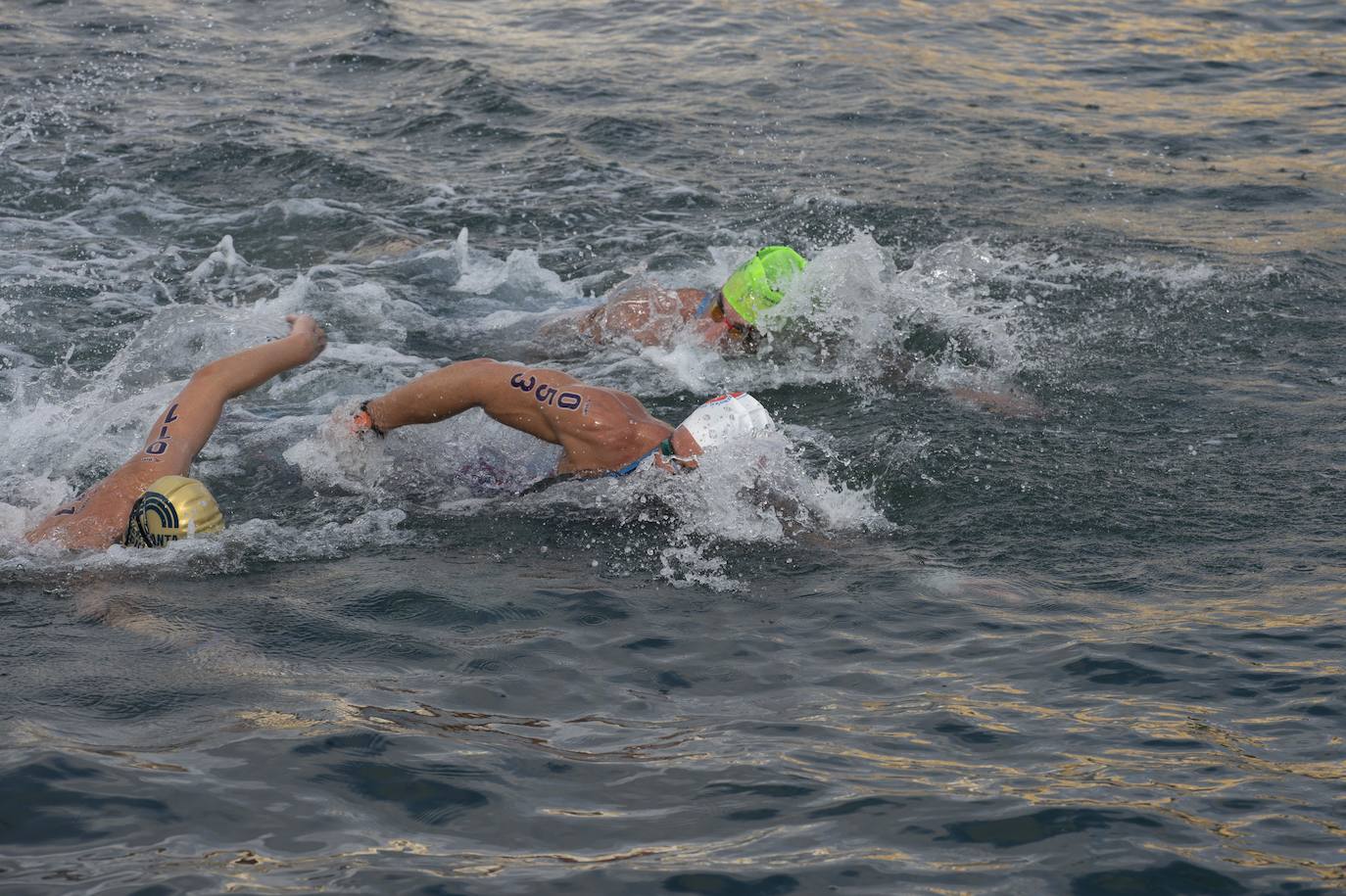 Fotos: Fase final de la Copa de España de aguas abiertas celebrado en Cartagena