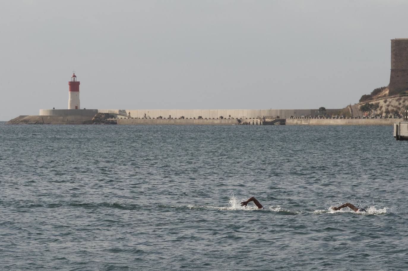 Fotos: Fase final de la Copa de España de aguas abiertas celebrado en Cartagena