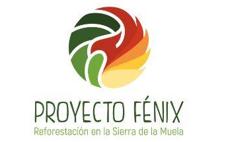 Fénix en Sierra de la Muela