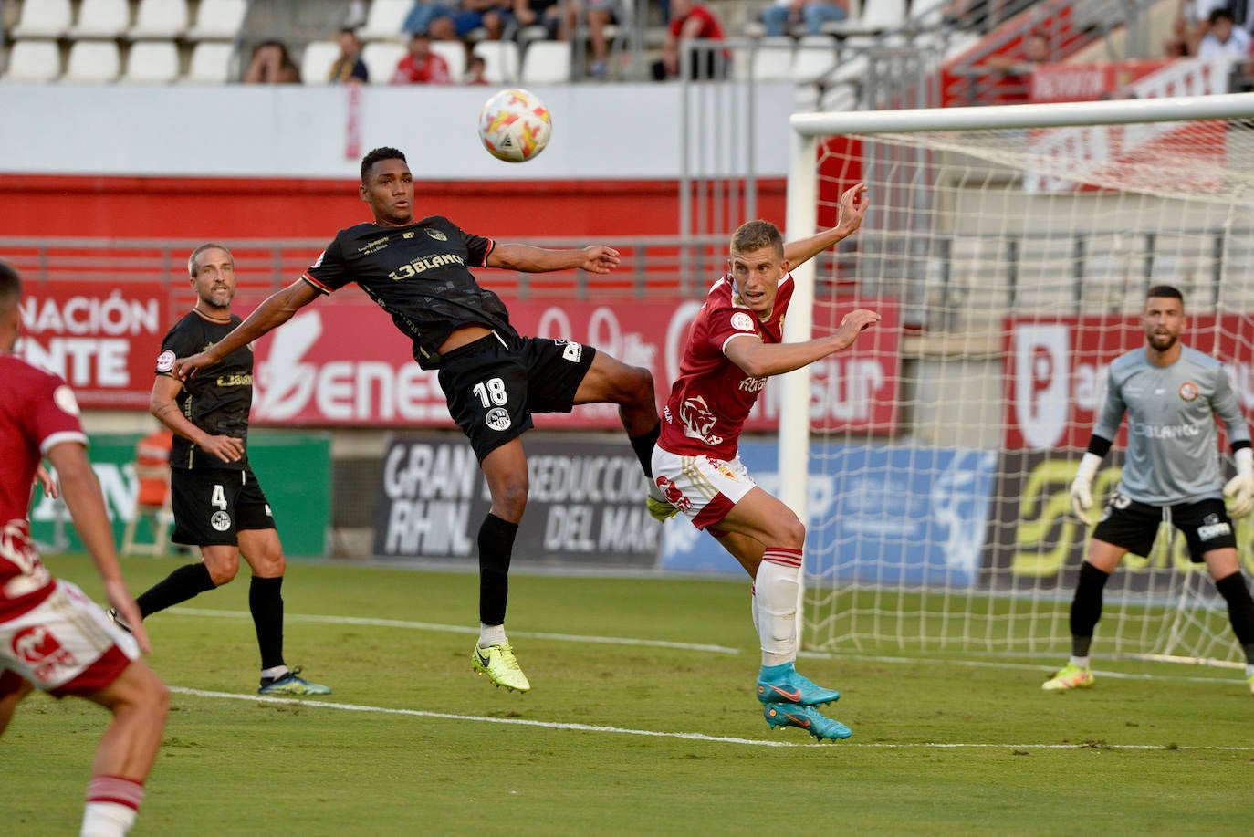 Fotos: La victoria del Real Murcia frente a la SD Logroñés, en imágenes
