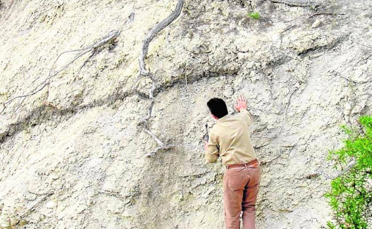 Imagen de archivo del Grupo de Investigación de Geología de la UMU observando la capa negra