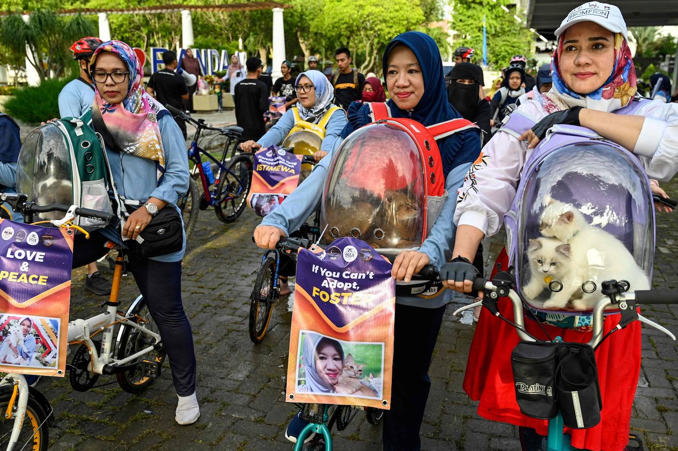 Fotos: Día Mundial del Animal en Indonesia