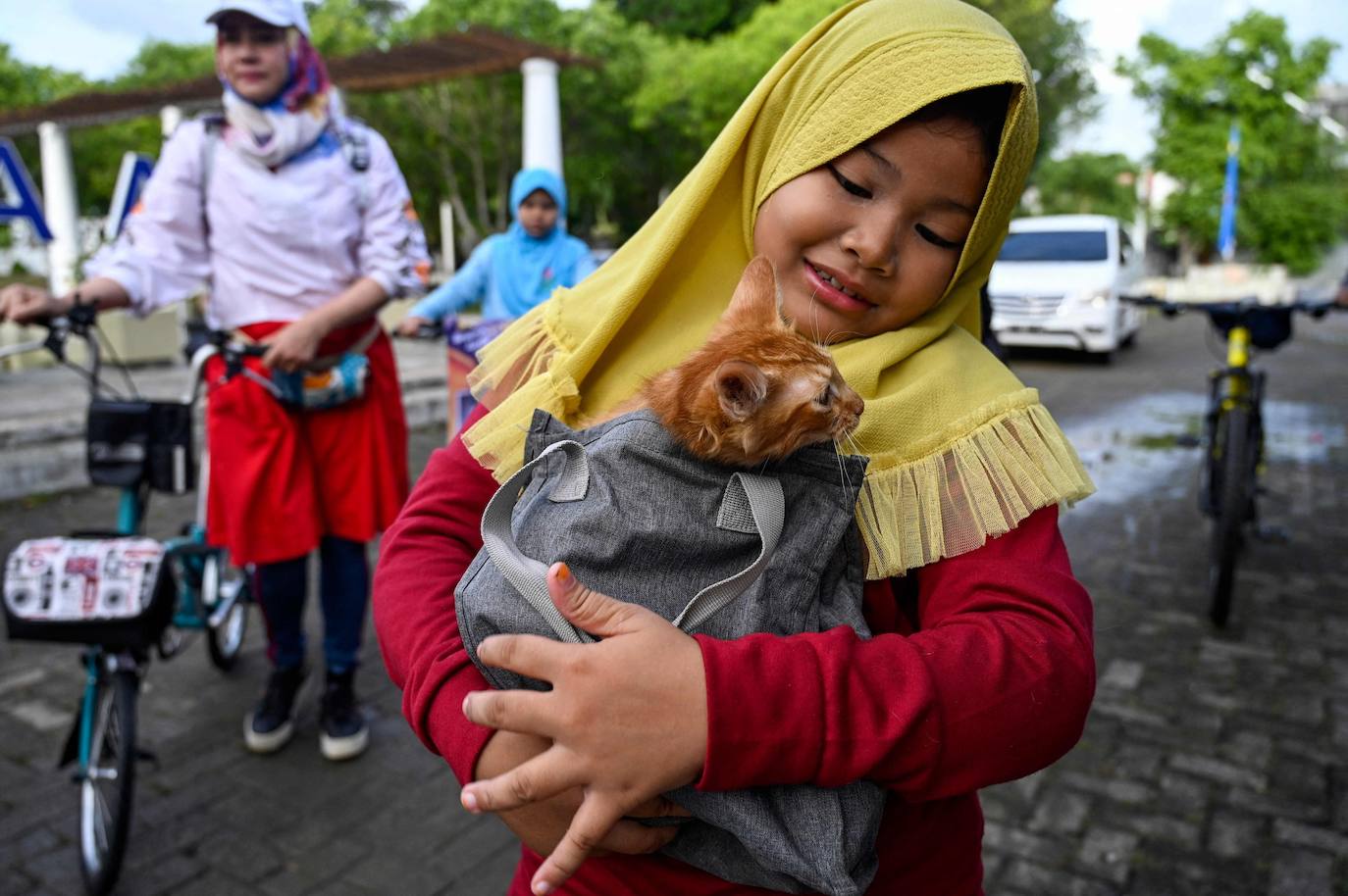 Fotos: Día Mundial del Animal en Indonesia