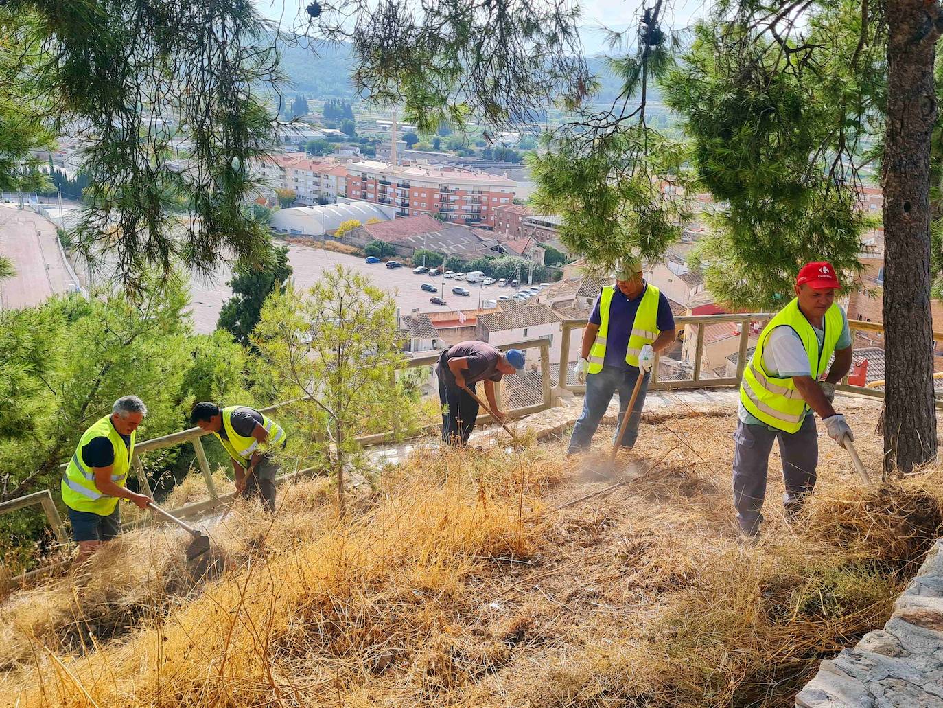 Obreros realizan trabajos de desbroce en la ladera posterior del cerro del Castillo de Caravaca. 