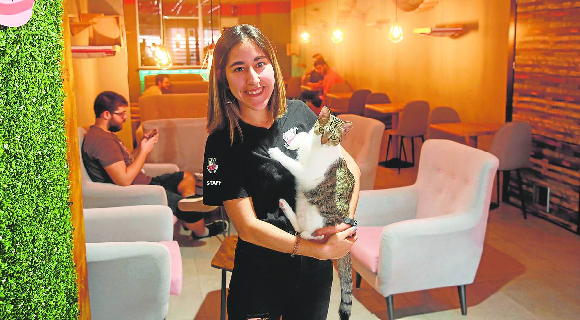 La joven emprendedora Isabel López, con el gato 'Boletus' en brazos, en su negocio, La Gatera Cat-Café. 